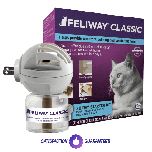 Feliway Classic Home Plug In Diffuser rockhallveterinary