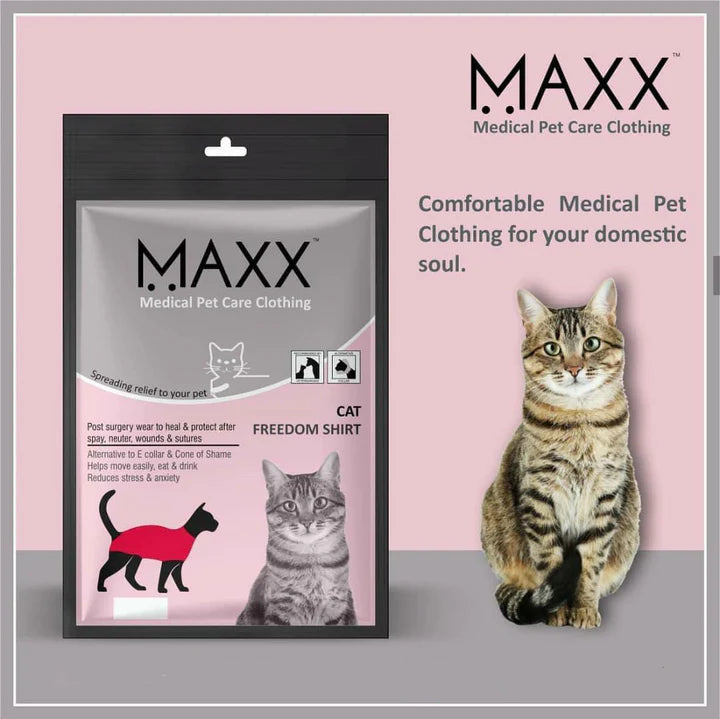 MAXX recovery cat shirt