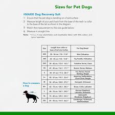 MAXX recovery dog shirt