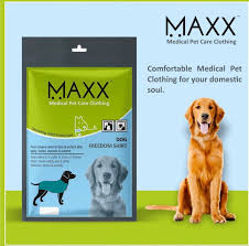 MAXX recovery dog shirt
