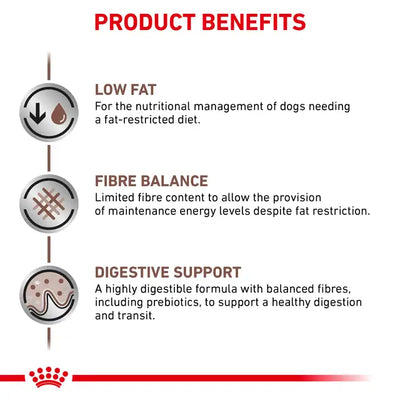ROYAL CANIN Gastrointestinal low fat small dog